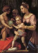 Holy Family with St. John young Andrea del Sarto